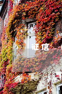 征信業(yè)管理條例