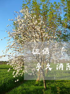 征信沒(méi)有逾期已結(jié)清多久消除記錄-征信沒(méi)有逾期已結(jié)清多久消除記錄啊
