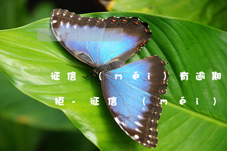 征信沒(méi)有逾期為什么還款還是被拒-征信沒(méi)有逾期為什么還款還是被拒了