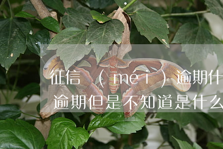 征信沒(méi)逾期什么貸款好下(征信有逾期但是不知道是什么貸款逾期)