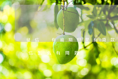 征信沒有逾期但是有貸款(為什么沒有逾期征信怎么有問題)