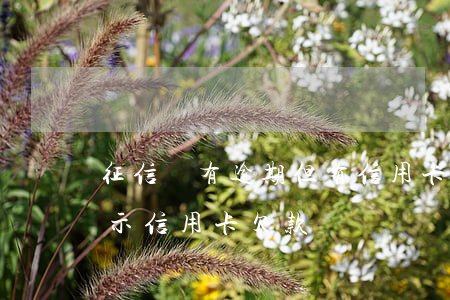 征信沒有逾期但有信用卡欠款(征信會不會顯示信用卡欠款)