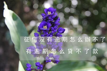 征信沒有逾期怎么辦不了信用卡 自己征信沒有逾期怎么貸不了款