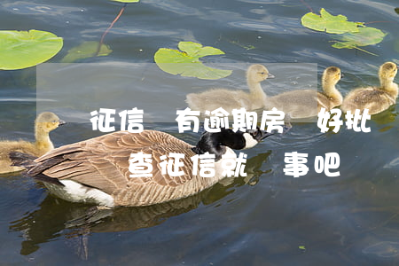 征信沒有逾期房貸好批嗎(貸款只要不逾期房貸查征信就沒事吧)