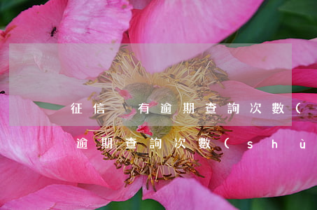 征信沒有逾期查詢次數(shù)(征信沒有逾期查詢次數(shù))