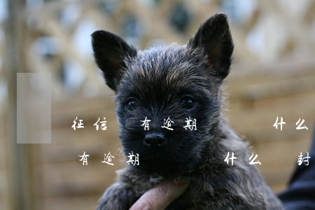 征信沒有逾期記錄為什么會封微信-征信沒有逾期記錄為什么會封微信呢