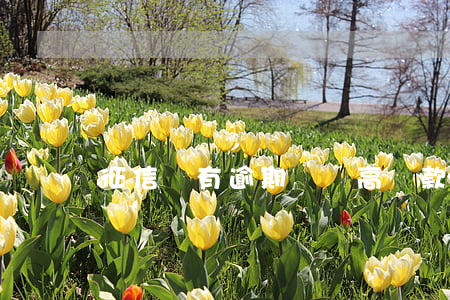 征信沒有逾期負債高 貸款全拒-