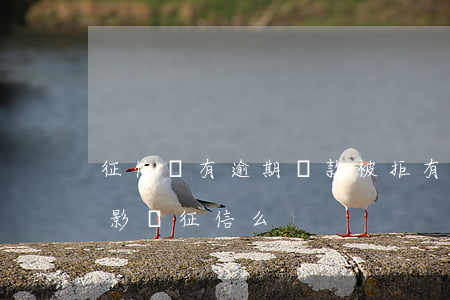 征信沒有逾期貸款被拒(有借款但是沒有逾期,影響征信么)