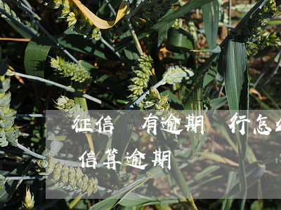 征信沒有逾期銀行怎么會查逾期(逾期沒上征信算逾期嗎)
