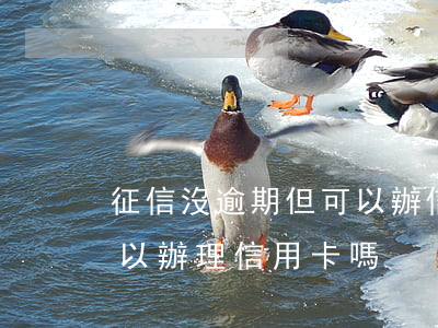 征信沒逾期但可以辦信用卡嗎(征信有逾期可以辦理信用卡嗎?)