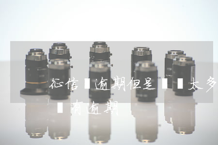 征信沒逾期但是記錄太多(征信記錄太多不過沒有逾期)