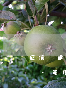 征信沒逾期已完結(jié)的記錄會消除嗎-征信沒逾期已完結(jié)的記錄會消除嗎怎么辦