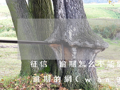 征信沒逾期怎么不能網(wǎng)貸(沒有逾期的網(wǎng)貸會上征信嗎)