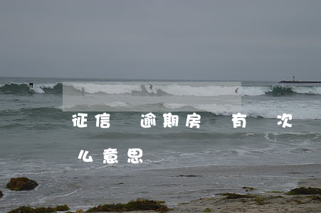 征信沒逾期房貸有個次級(征信逾期次級是什么意思)