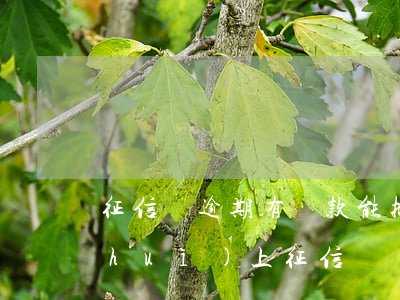 征信沒逾期有貸款能批嘛(貸款沒有逾期會(huì)上征信嗎)