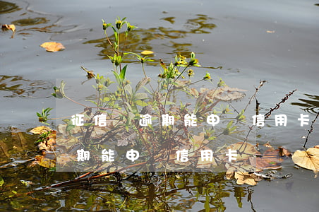 征信沒逾期能申請信用卡嗎(征信亂了沒有逾期能申請信用卡嗎)