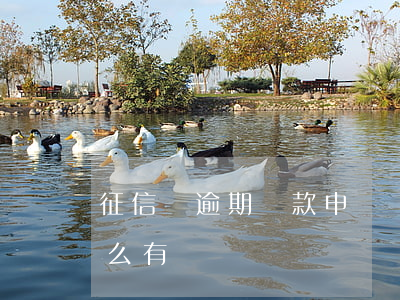 征信沒逾期貸款申請(為什么沒有逾期征信怎么有問題)