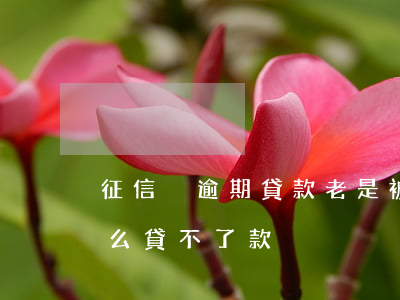 征信沒逾期貸款老是被拒(征信沒有逾期為什么貸不了款)