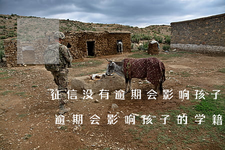 征信没有逾期会影响孩子的学籍-征信没有逾期会影响孩子的学籍吗
