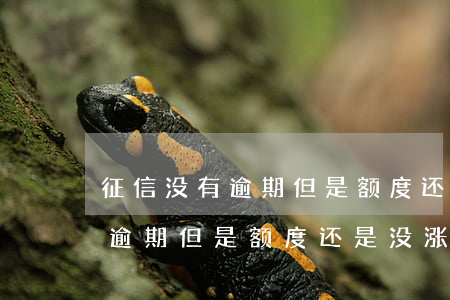 征信没有逾期但是额度还是没涨-征信没有逾期但是额度还是没涨额度