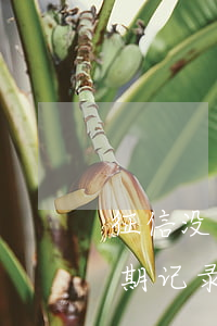征信没有逾期怎么查询(个人征信报告没有逾期记录)