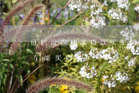 征信没逾期能贷款买车吗(征信有逾期贷款买车能买吗)