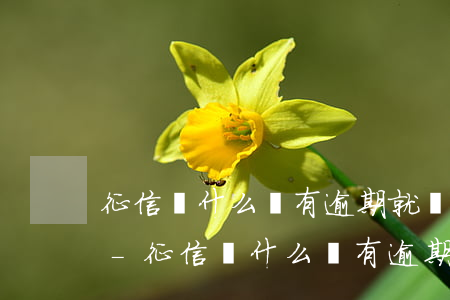 征信為什么沒有逾期就顯示凍結(jié)-征信為什么沒有逾期就顯示凍結(jié)了