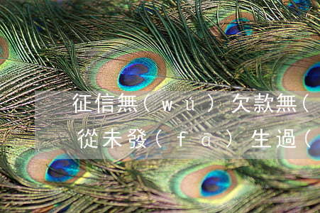 征信無(wú)欠款無(wú)逾期-征信從未發(fā)生過(guò)逾期