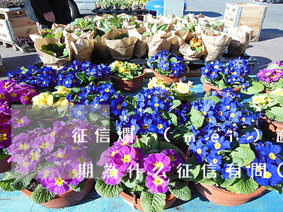 征信爛沒(méi)逾期-沒(méi)逾期為什么征信有問(wèn)題