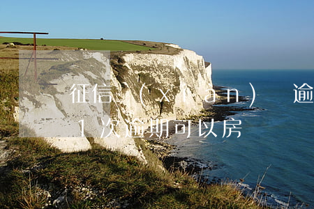 征信現(xiàn)實逾期一次能貸款(征信1次逾期可以房貸嗎)