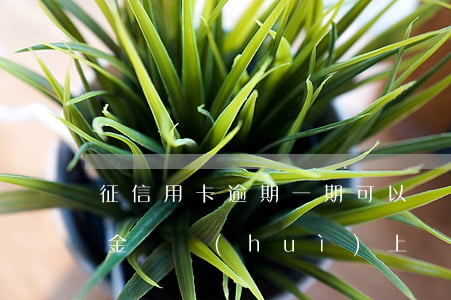 征信用卡逾期一期可以還最低 逾期后還最低金額會(huì)上報(bào)征信嗎
