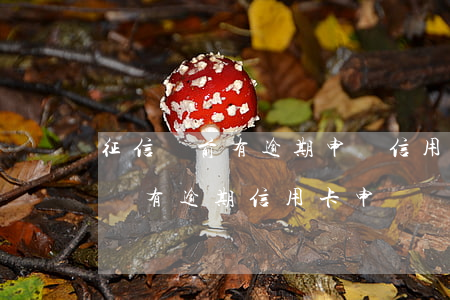 征信當前有逾期申請信用卡會被拒絕嗎（征信沒有逾期信用卡申請總是被拒）