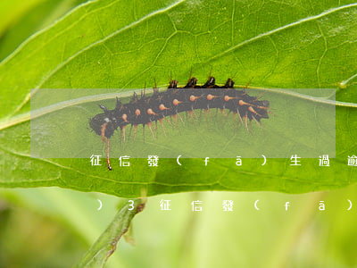 征信發(fā)生過逾期的賬戶數(shù)3(征信發(fā)生過逾期的賬戶數(shù)怎么是紅色)