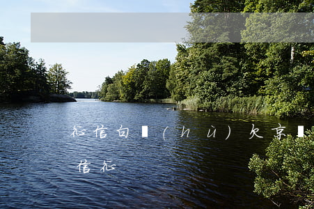 征信白戶(hù)欠京東白條違約(京東白條 信征)