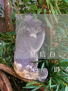 征信白戶會不會欠網(wǎng)貸(為什么白戶借不到網(wǎng)貸)