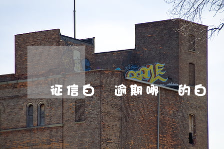 征信白戶逾期哪來的(白戶上征信嗎)