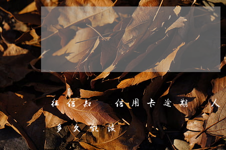 征信知識信用卡逾期(個人征信上信用卡逾期多久能恢復)