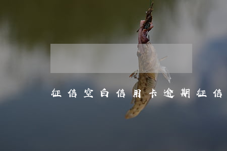 征信空白信用卡逾期(征信空白有什么影響)