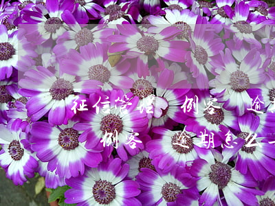 征信管理條例客戶逾期怎么告知-征信管理條例客戶逾期怎么告知他人