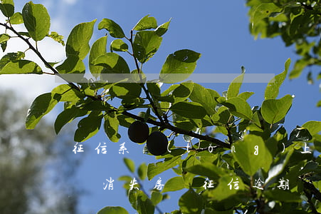 征信系統(tǒng)上的逾期記錄多久才會消失（房貸征信逾期記錄多久會消失）