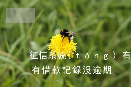 征信系統(tǒng)有貸款逾期記錄(征信有借款記錄沒逾期)