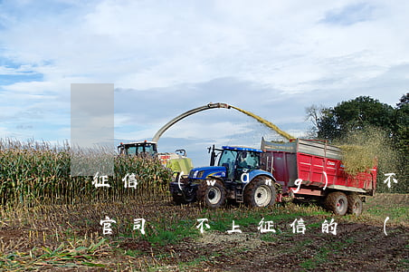 征信網(wǎng)貸不還會(huì)打官司嗎(不上征信的網(wǎng)貸會(huì)被起訴嗎)