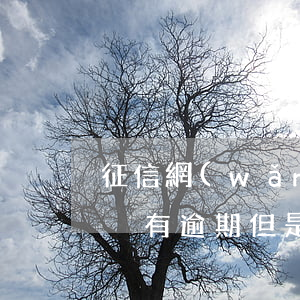 征信網(wǎng)貸多還清沒有逾期(征信沒有逾期但是有很多網(wǎng)貸記錄好久沒事)