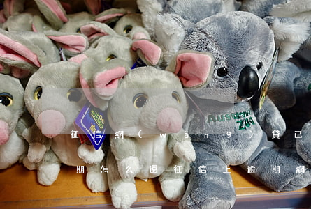 征信網(wǎng)貸已經(jīng)逾期怎么還(征信上逾期網(wǎng)貸去哪里還款)