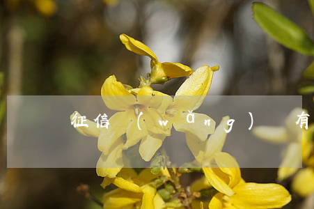征信網(wǎng)貸有逾期怎么辦