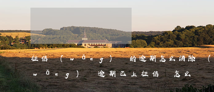 征信網(wǎng)貸的逾期怎么消除(網(wǎng)貸逾期已上征信該怎么辦)