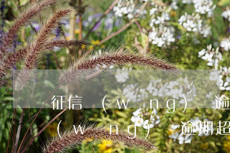 征信網(wǎng)貸逾期180天(征信網(wǎng)貸逾期超過(guò)90天后果)