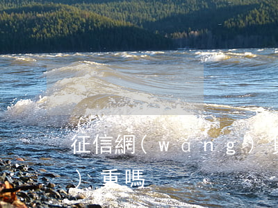征信網(wǎng)貸逾期1年嚴(yán)重嗎