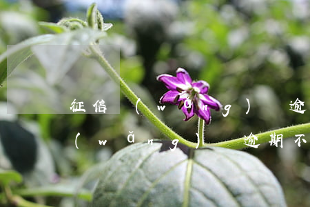 征信網(wǎng)貸逾期不到2萬(征信網(wǎng)貸逾期不到2萬)