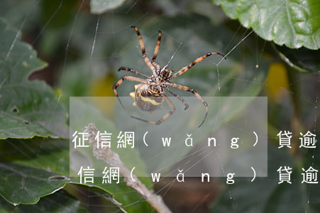 征信網(wǎng)貸逾期信用卡封卡(上征信網(wǎng)貸逾期信用卡被凍結)